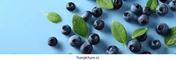 Fresh Blueberries with Green Leaves on a Light Blue Background