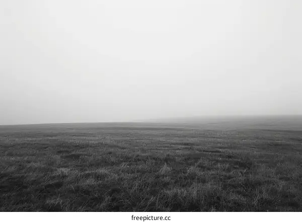 Black and white photo of a vast empty grass field with a slight fog