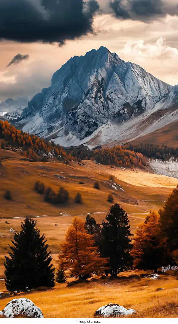 Autumn Mountain Landscape With Golden Grass And Pine Trees