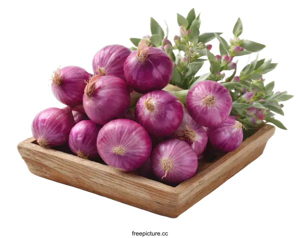 [Transparent Background PNG]Purple Onions in Wooden Tray