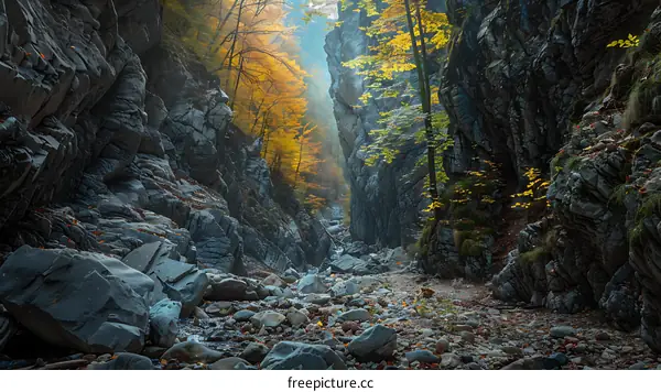 Narrow Canyon Path With Autumn Foliage