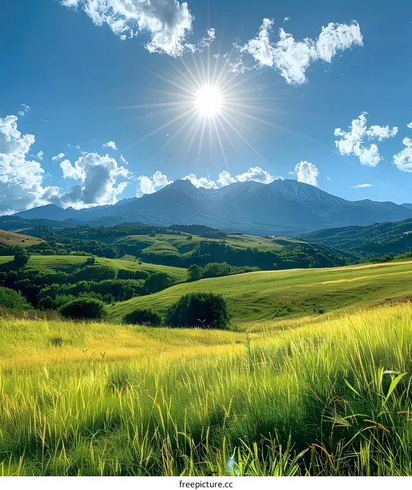 High resolution image of green hilly landscape with blue sky and white clouds