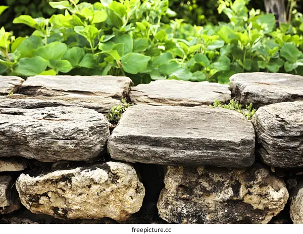 Closeup of Stacked Stone Wall with Green Plants in the Background