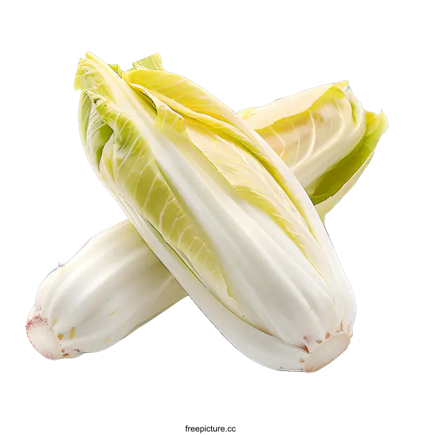 [Transparent Background PNG]Fresh Green and White Chicory on White Background
