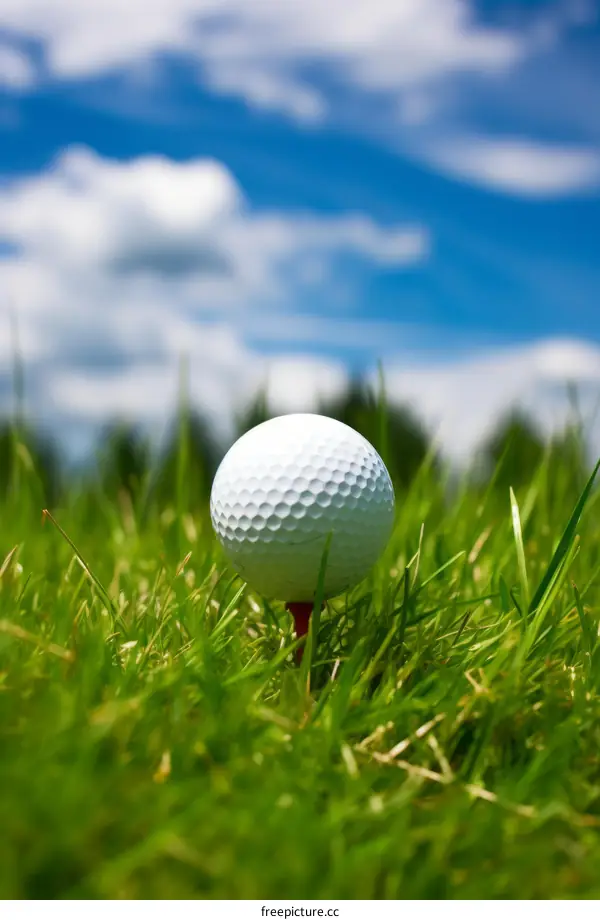 Close-up of a golf ball on a tee against blurred background of green grass and blue sky