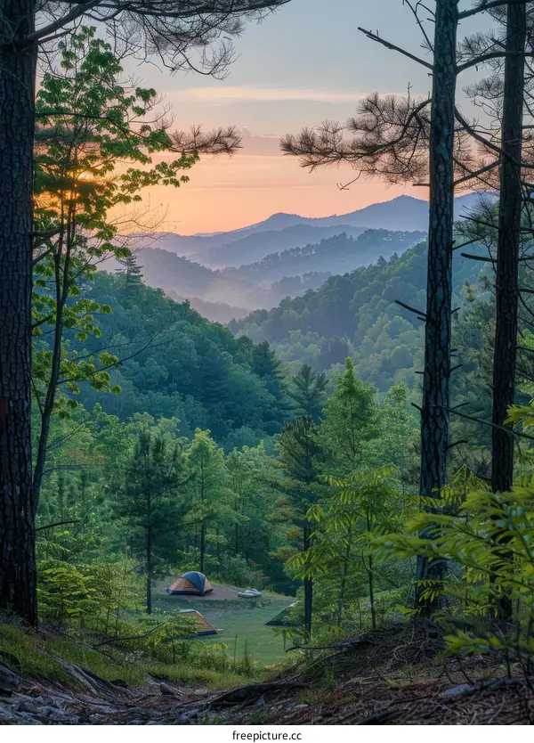 Camping in the Wilderness