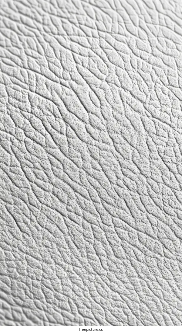 Close-up View of Light Gray Leather Texture