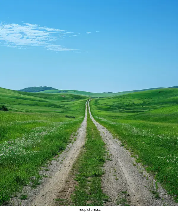 Lush Green Country Road