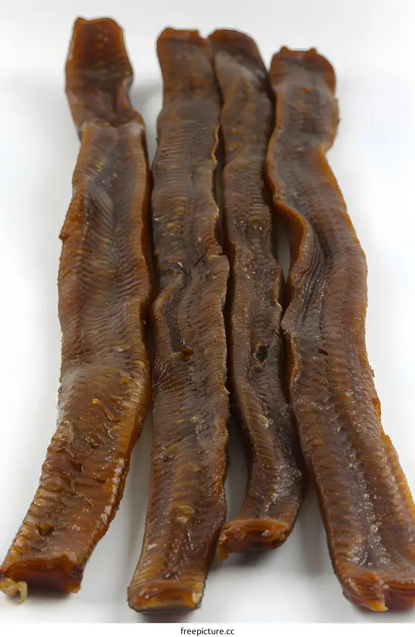 Four pieces of dried fish on a white background