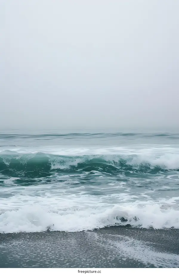 Ocean Waves Crashing on a Sandy Beach