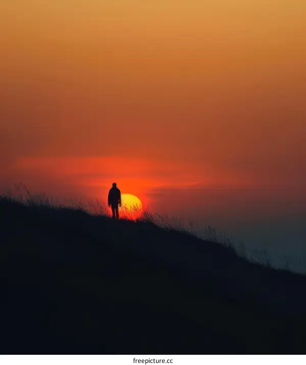 Man walking alone on a hill during sunset