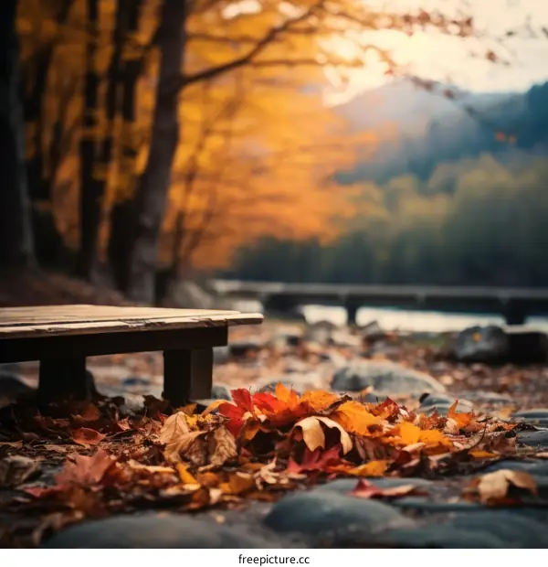 Wooden bench in the middle of a forest with fallen leaves on the ground