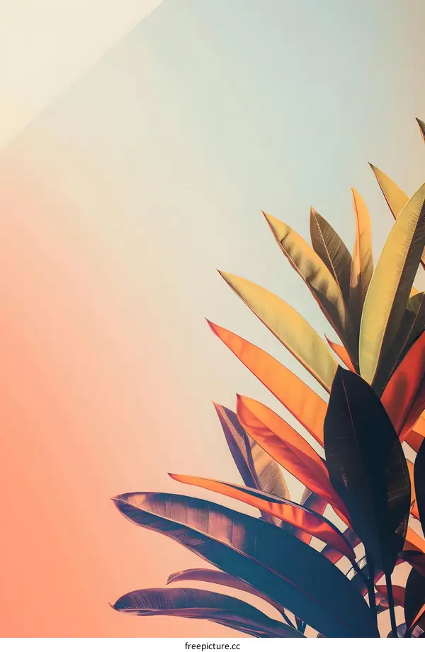Tropical Leaves on a Pink and Blue Gradient Background