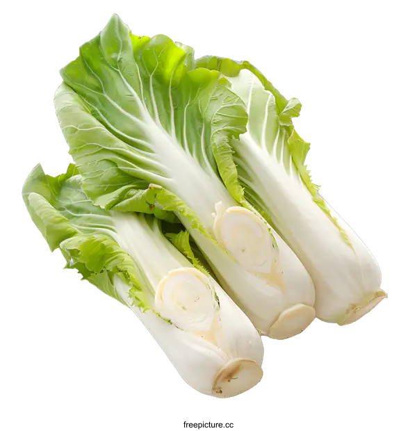 [Transparent Background PNG]Three white bok choy