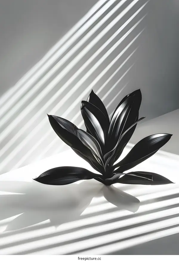 Black Plant With Sun Stripes