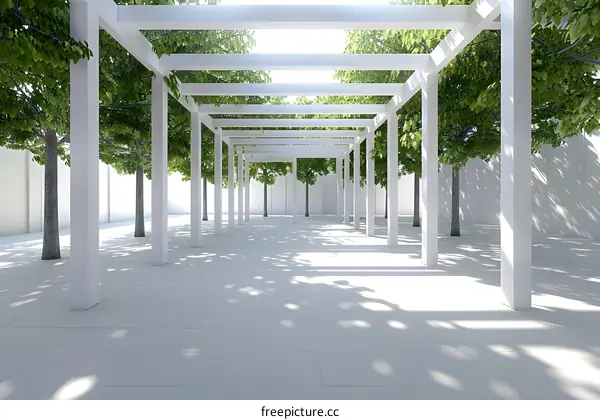 White Pergola Structure With Trees In The Garden