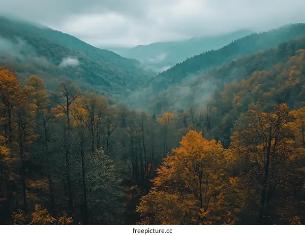 Autumn Foliage and Mist in the Mountains