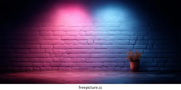 Neon Light Pink and Blue Brick Wall Scene