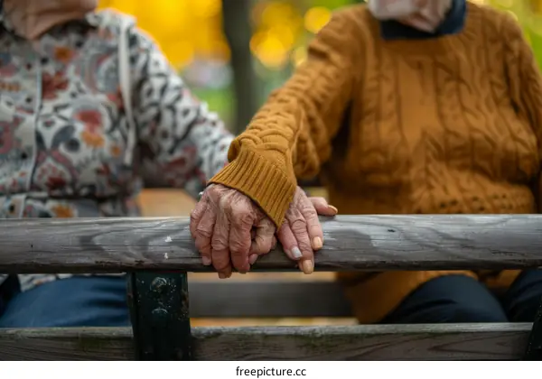 An elderly couple is holding hands on a park bench
