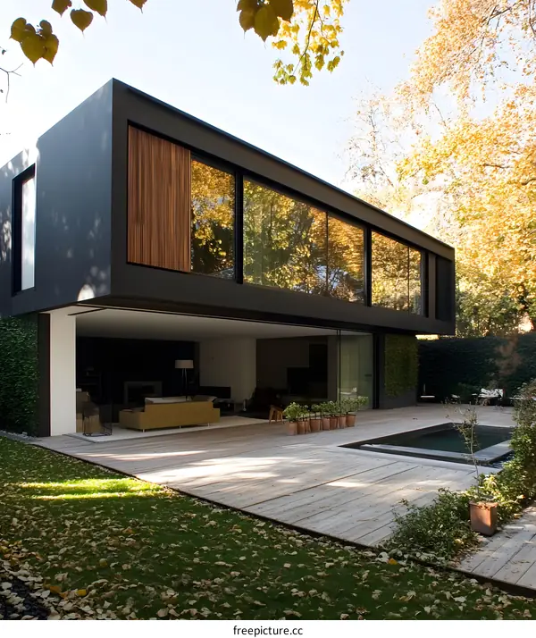 Modern Black House with Large Windows and Swimming Pool