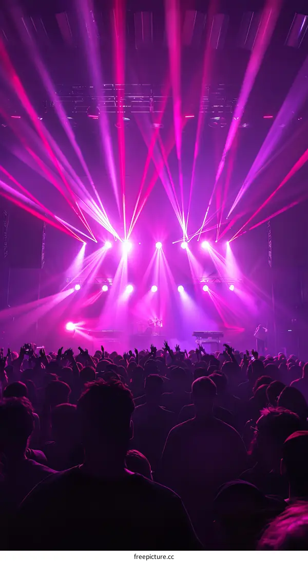 Pink Laser Lights Concert Crowd