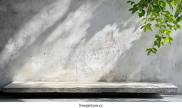Empty Concrete Shelf Against a Light Gray Wall with Greenery