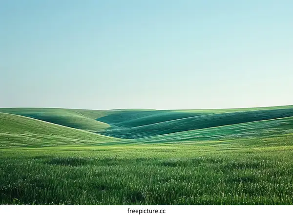 Rolling Green Hills Meet The Azure Sky