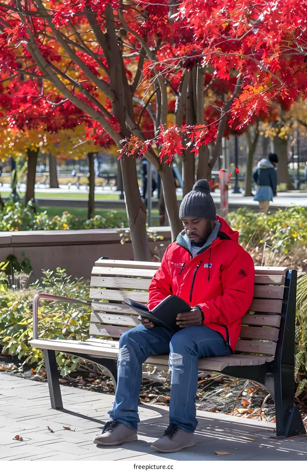 Man Reading Book on Bench in Park With Autumn Leaves