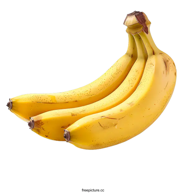 [Transparent Background PNG]Three yellow bananas on a white background