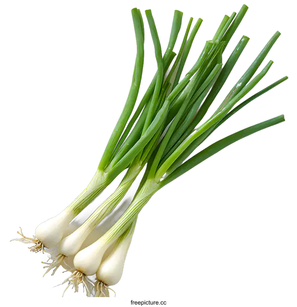[Transparent Background PNG]Fresh green spring onions on white background