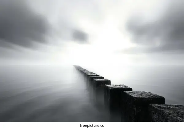 Misty Shore Pathway in Monochrome
