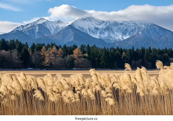 Snowy Mountain Range with Grass Field in Japan