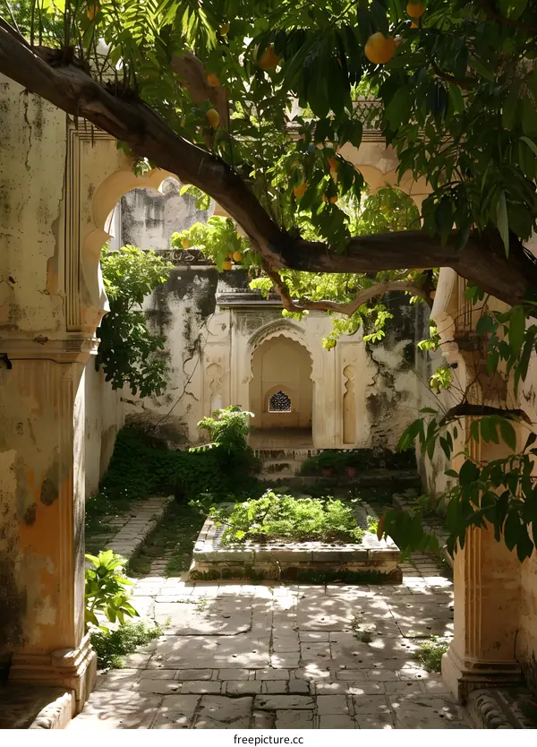 Courtyard with Trees and Plants