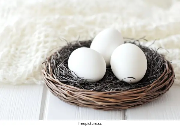 White Eggs in a Rustic Nest