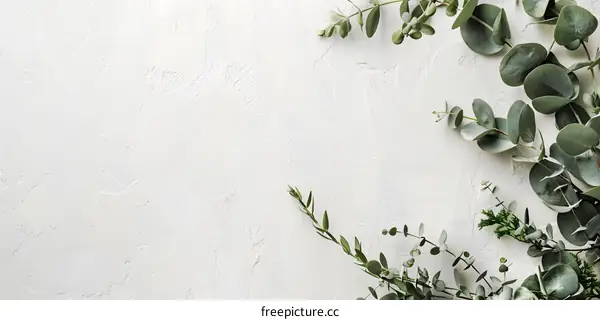 White Background with Greenery for Minimalist Design