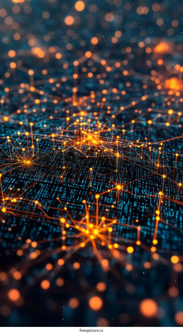 Digital Network Connections and Data Flow