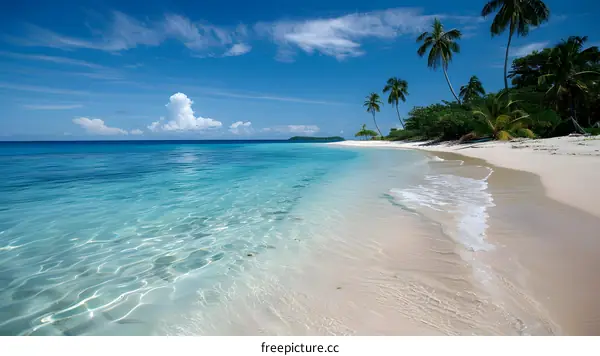 The beach is clean and beautiful, with palm trees and white sand.