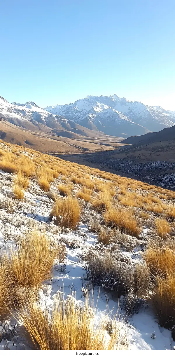 Snow Covered Grass and Mountain Landscape