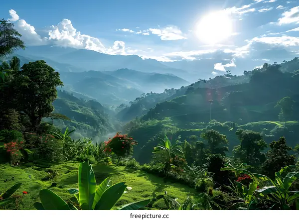 green mountain landscape with banana trees in the foreground