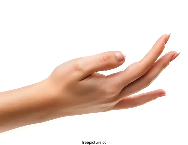 hand holding something