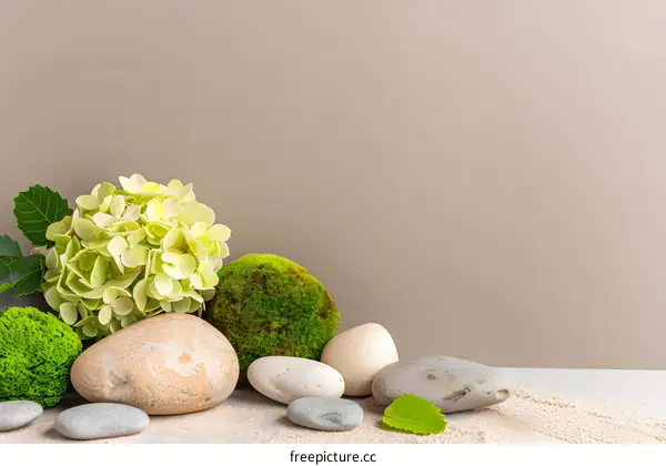 Green Flower Hydrangea with Stones and Moss