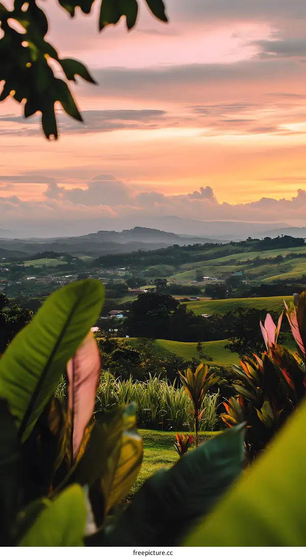 Green Hills and Golden Sunset View