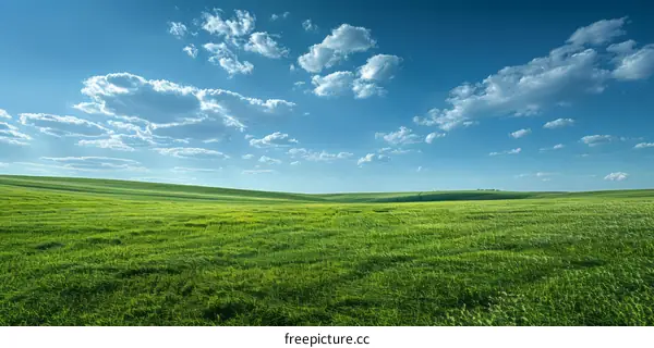Rolling Green Hills Under a Blue Sky
