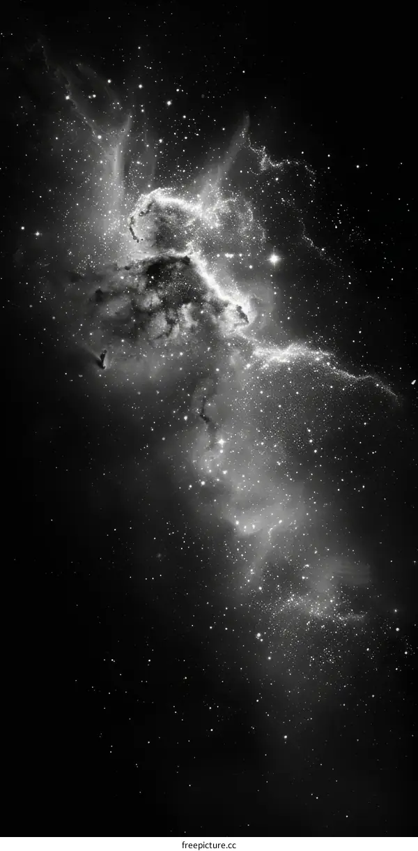 Black and white space nebula