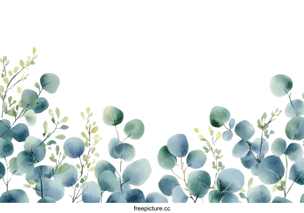[Transparent Background PNG]Watercolor Eucalyptus Border Design