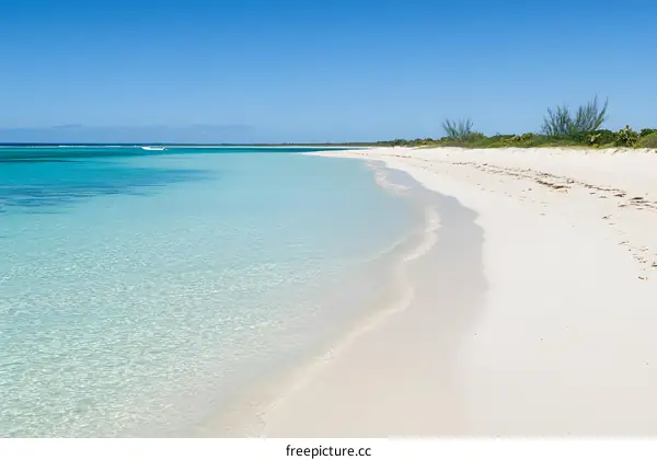 Tropical Beach with White Sand and Clear Blue Water