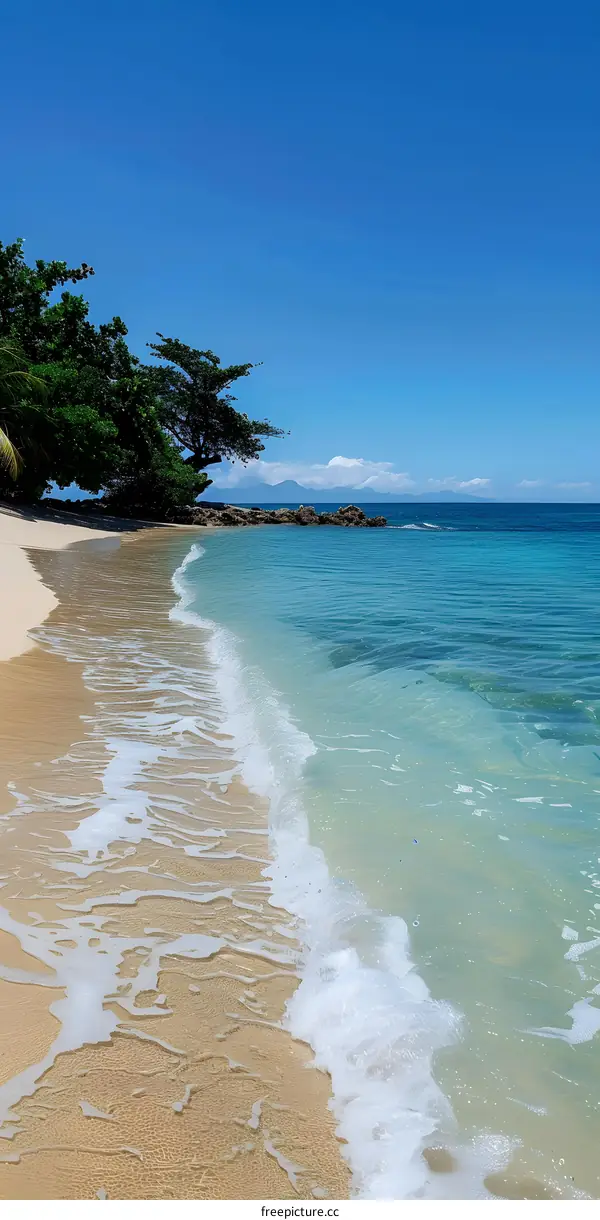 Beach with green palm trees and white sand