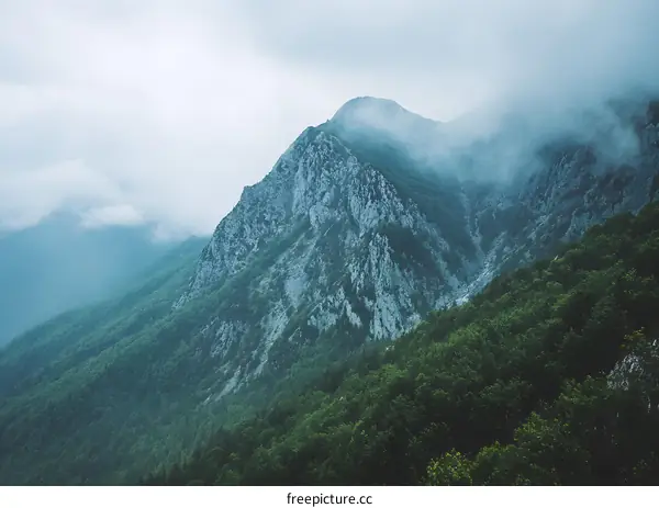 Mountain Peak Covered in Fog