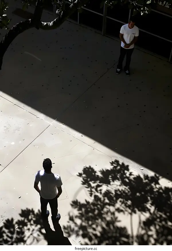 Two Men Standing On Concrete Patio With Tree Shadow