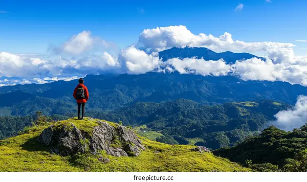 Majestic Mountain View with a Person Contemplating